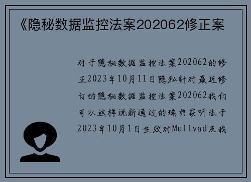 《隐秘数据监控法案202062修正案 